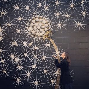 Meet your Posher, Rosa